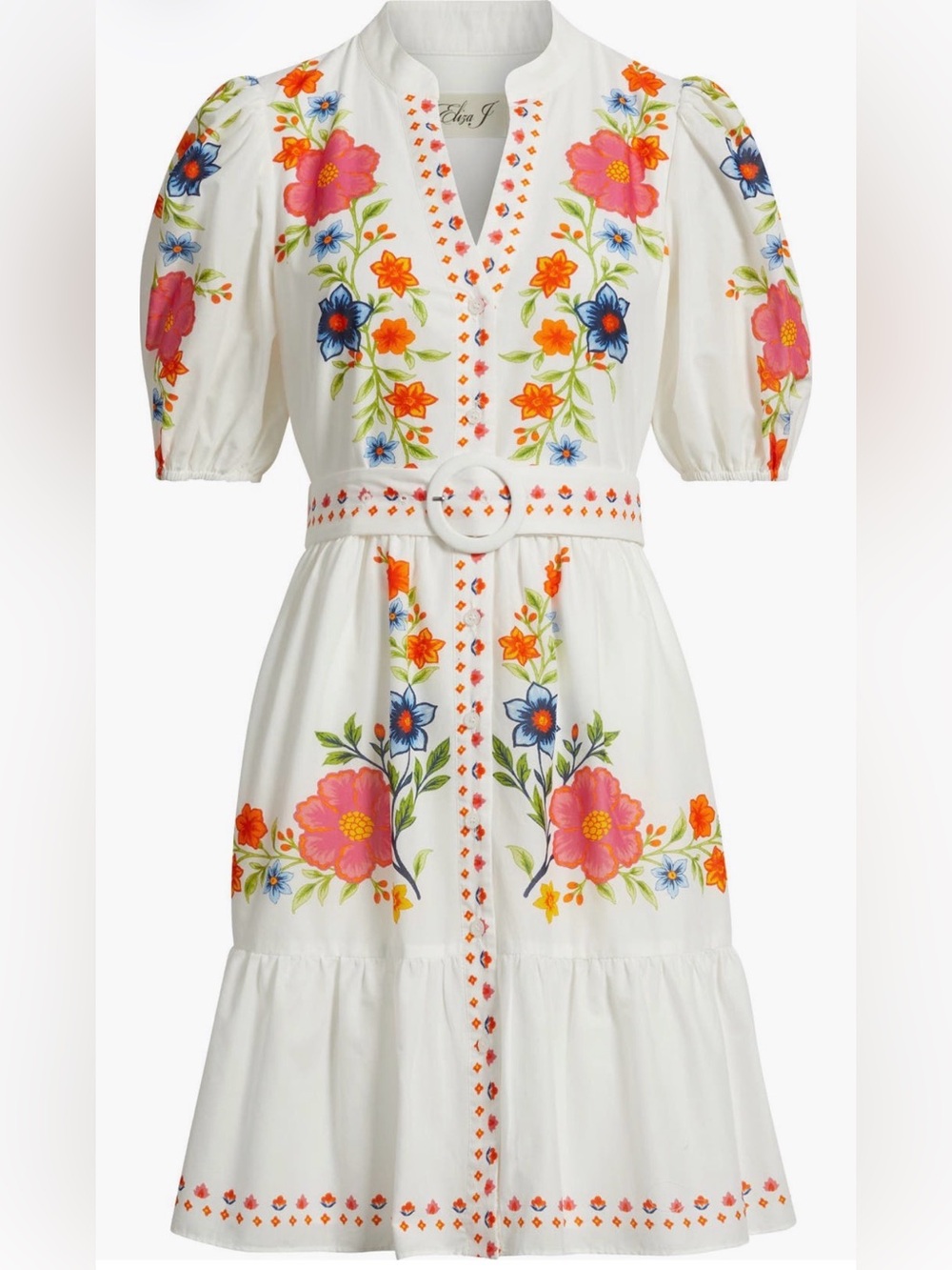 Eliza J Floral Print Poplin Dress